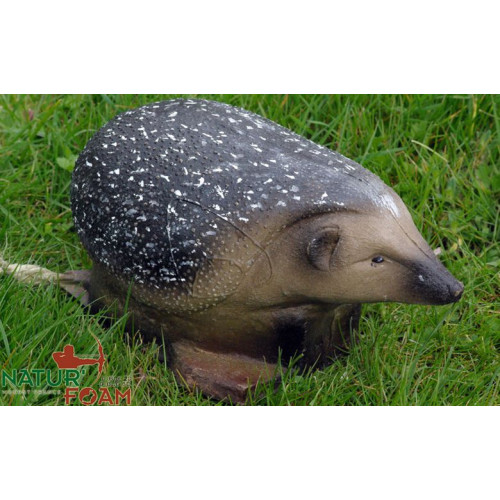 Natur Foam Hedgehog Archerycentre Com Online Shop