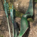 JACKALOPE - Malachite - 60" - One Piece Recurvebow 