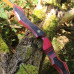 JACKALOPE - Red Beryl XL - 66 - 68" - Recurvebow Take Down 