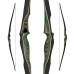 JACKALOPE - Malachite - 62" -  Hybridbow [Limited Edition]